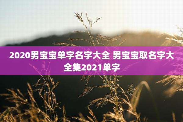 2020男宝宝单字名字大全 男宝宝取名字大全集2021单字