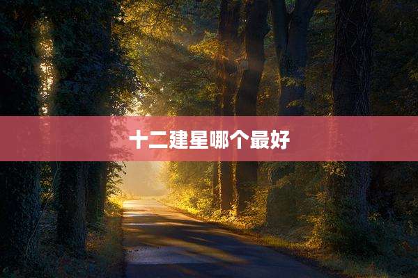 十二建星哪个最好