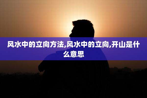 风水中的立向方法,风水中的立向,开山是什么意思