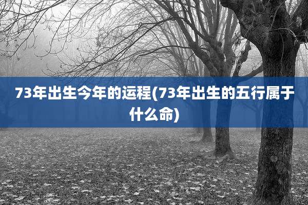 73年出生今年的运程(73年出生的五行属于什么命)