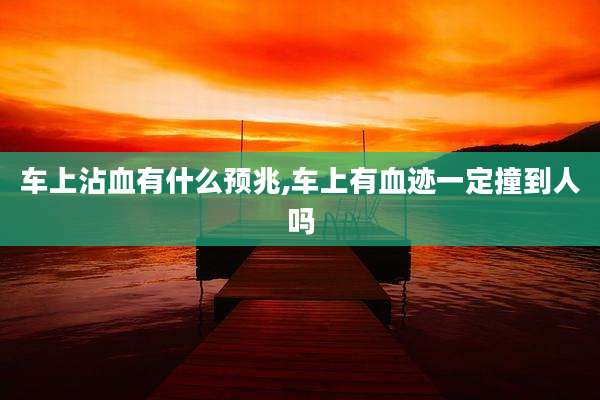 车上沾血有什么预兆,车上有血迹一定撞到人吗