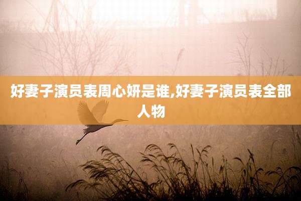 好妻子演员表周心妍是谁,好妻子演员表全部人物