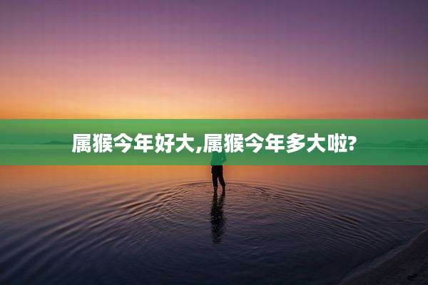 属猴今年好大,属猴今年多大啦?