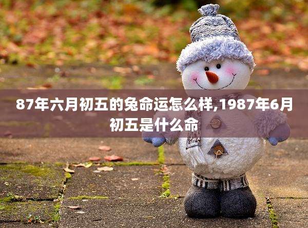 87年六月初五的兔命运怎么样,1987年6月初五是什么命