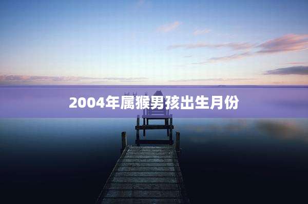 2004年属猴男孩出生月份