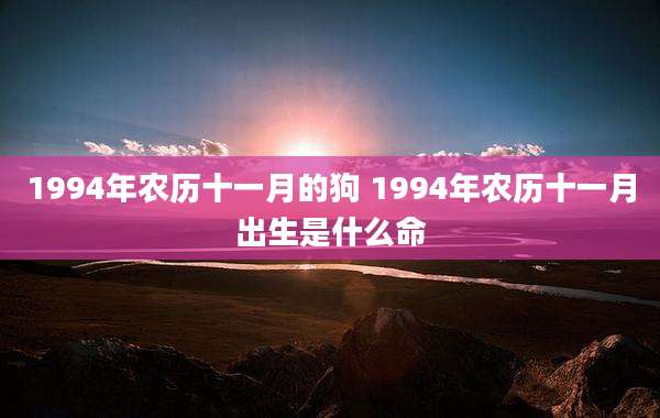 1994年农历十一月的狗 1994年农历十一月出生是什么命