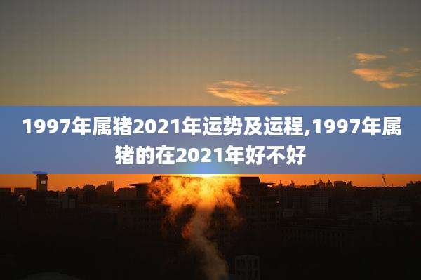 1997年属猪2021年运势及运程,1997年属猪的在2021年好不好