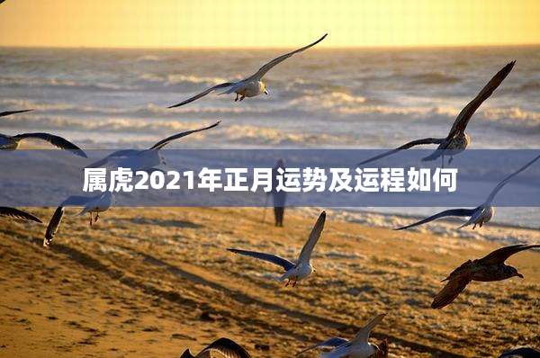 属虎2021年正月运势及运程如何