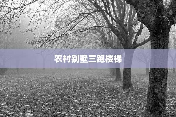 农村别墅三跑楼梯