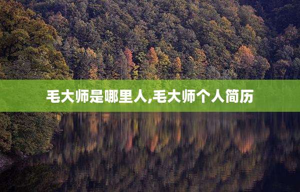 毛大师是哪里人,毛大师个人简历
