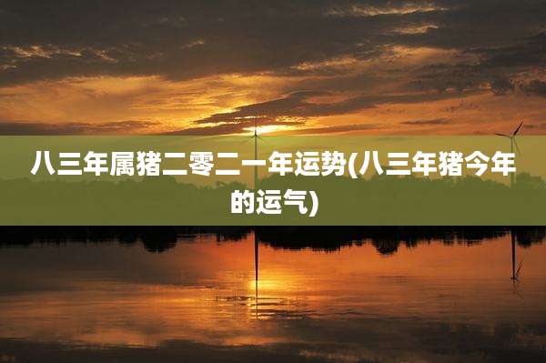 八三年属猪二零二一年运势(八三年猪今年的运气)
