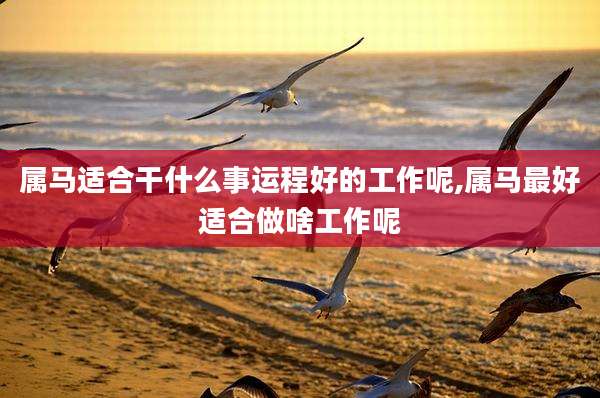 属马适合干什么事运程好的工作呢,属马最好适合做啥工作呢