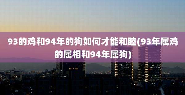 93的鸡和94年的狗如何才能和睦(93年属鸡的属相和94年属狗)