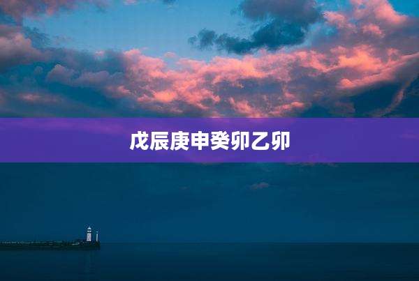 戊辰庚申癸卯乙卯
