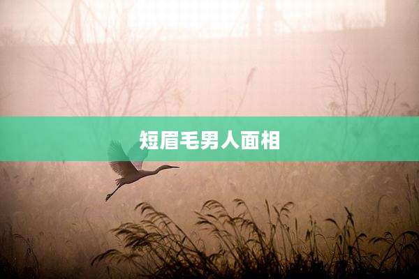 短眉毛男人面相
