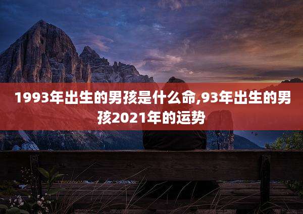 1993年出生的男孩是什么命,93年出生的男孩2021年的运势