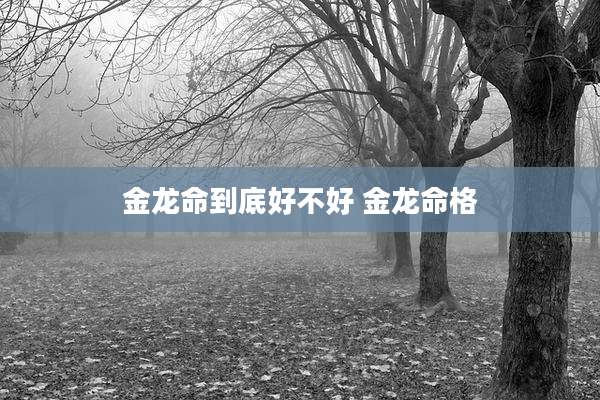 金龙命到底好不好 金龙命格