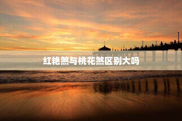 红艳煞与桃花煞区别大吗