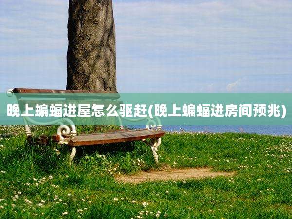 晚上蝙蝠进屋怎么驱赶(晚上蝙蝠进房间预兆)