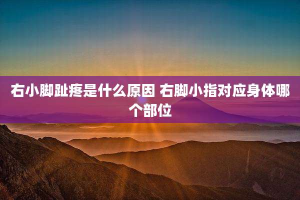 右小脚趾疼是什么原因 右脚小指对应身体哪个部位