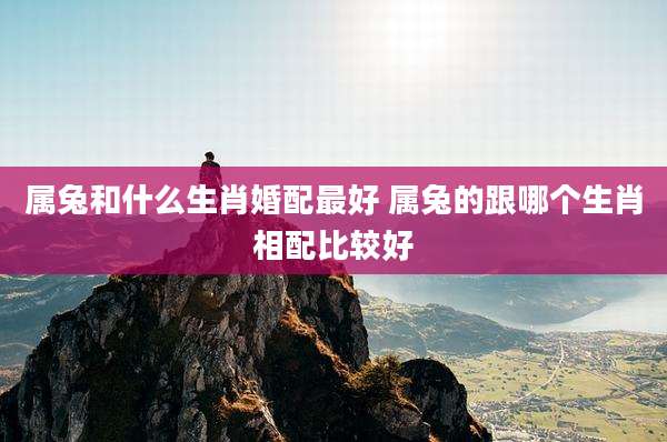 属兔和什么生肖婚配最好 属兔的跟哪个生肖相配比较好
