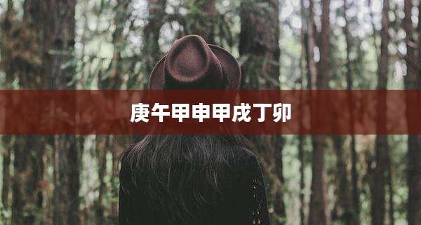 庚午甲申甲戌丁卯