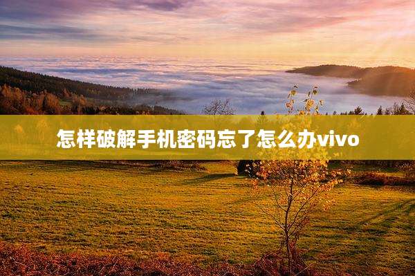 怎样破解手机密码忘了怎么办vivo