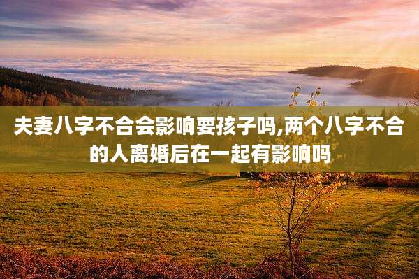 夫妻八字不合会影响要孩子吗,两个八字不合的人离婚后在一起有影响吗