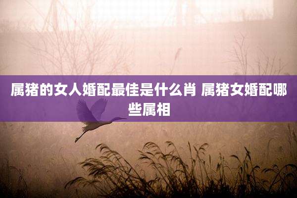 属猪的女人婚配最佳是什么肖 属猪女婚配哪些属相
