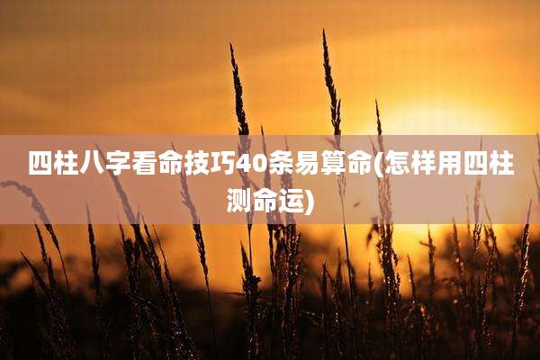 四柱八字看命技巧40条易算命(怎样用四柱测命运)