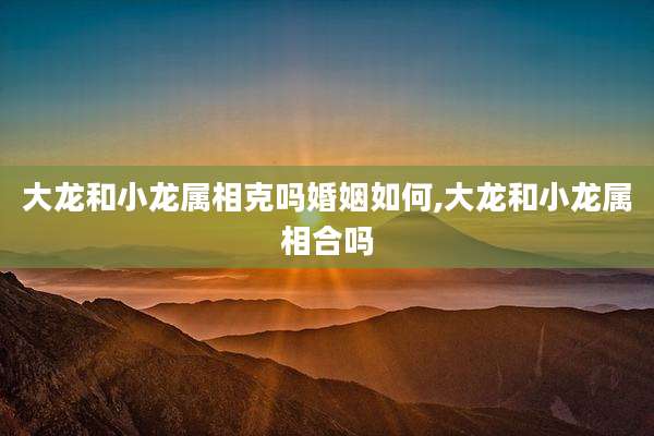 大龙和小龙属相克吗婚姻如何,大龙和小龙属相合吗