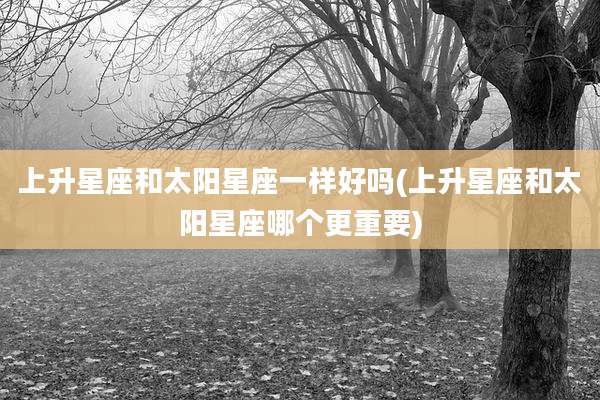 上升星座和太阳星座一样好吗(上升星座和太阳星座哪个更重要)