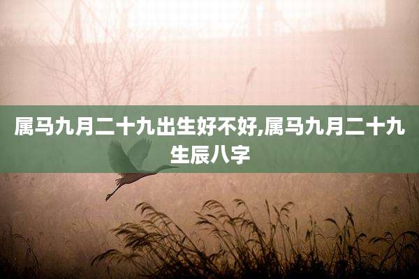 属马九月二十九出生好不好,属马九月二十九生辰八字