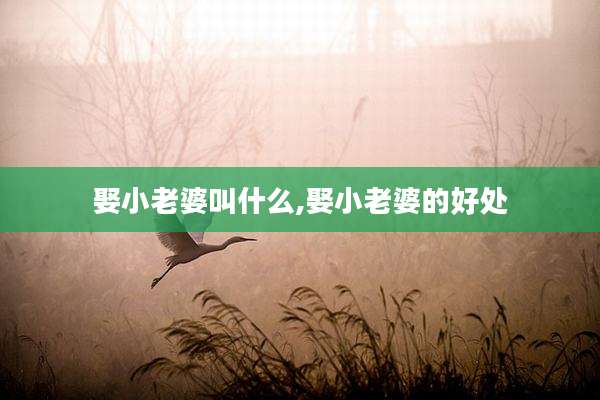 娶小老婆叫什么,娶小老婆的好处
