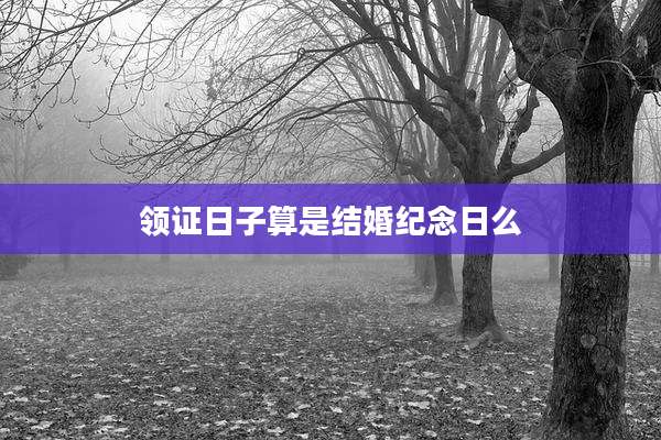 领证日子算是结婚纪念日么