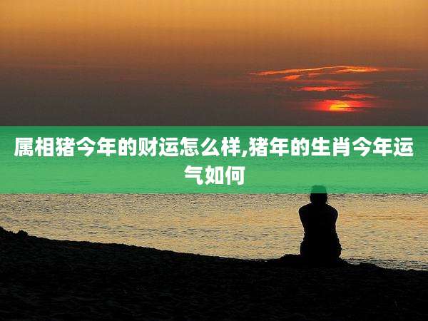 属相猪今年的财运怎么样,猪年的生肖今年运气如何