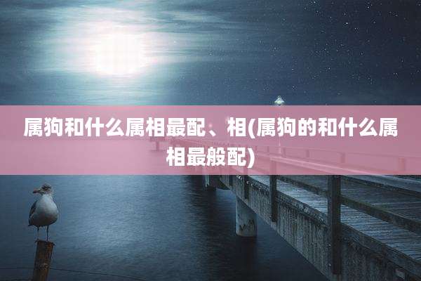 属狗和什么属相最配、相(属狗的和什么属相最般配)