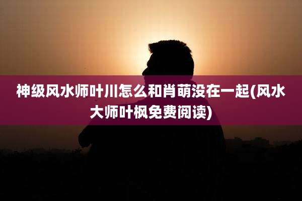 神级风水师叶川怎么和肖萌没在一起(风水大师叶枫免费阅读)