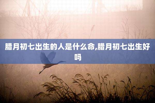 腊月初七出生的人是什么命,腊月初七出生好吗