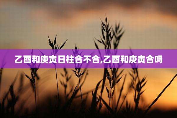 乙酉和庚寅日柱合不合,乙酉和庚寅合吗