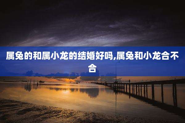 属兔的和属小龙的结婚好吗,属兔和小龙合不合