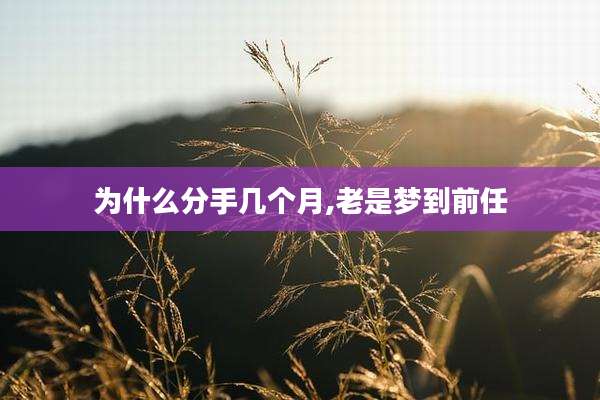 为什么分手几个月,老是梦到前任