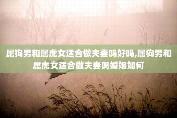 属狗男和属虎女适合做夫妻吗好吗,属狗男和属虎女适合做夫妻吗婚姻如何