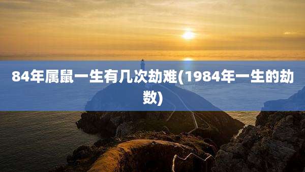 84年属鼠一生有几次劫难(1984年一生的劫数)