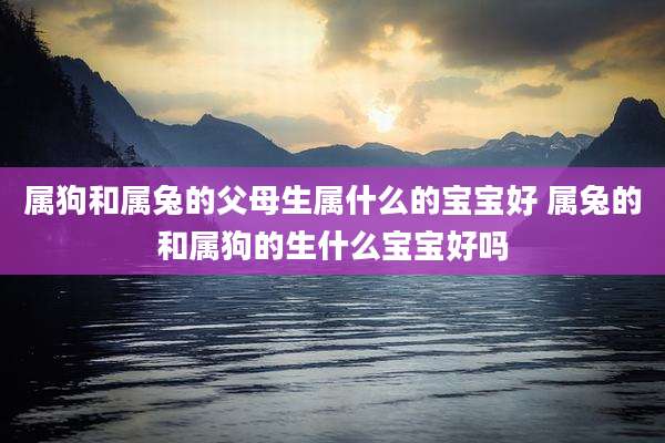 属狗和属兔的父母生属什么的宝宝好 属兔的和属狗的生什么宝宝好吗