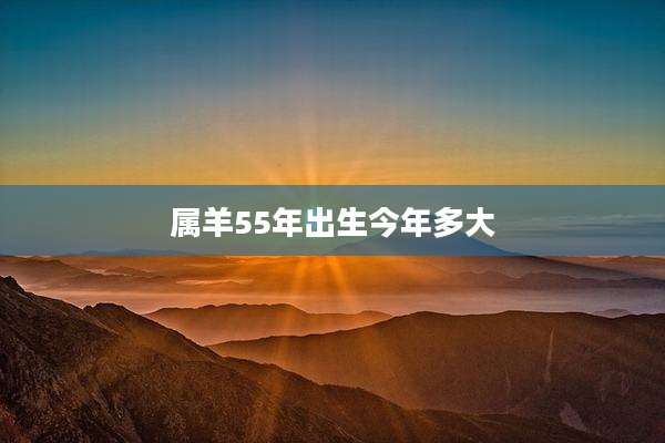 属羊55年出生今年多大