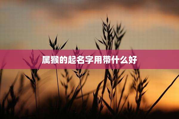 属猴的起名字用带什么好