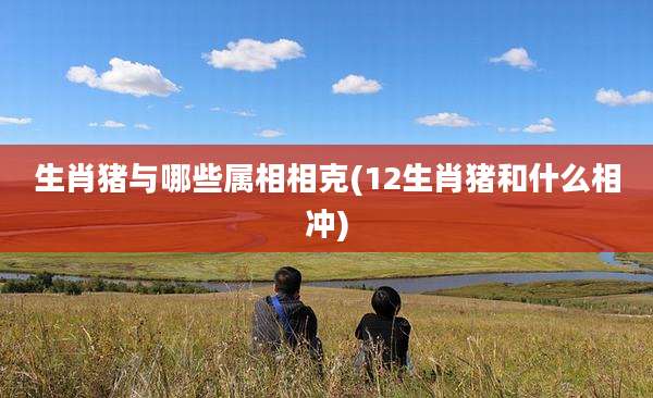 生肖猪与哪些属相相克(12生肖猪和什么相冲)