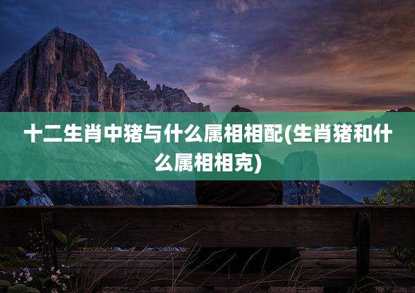 十二生肖中猪与什么属相相配(生肖猪和什么属相相克)