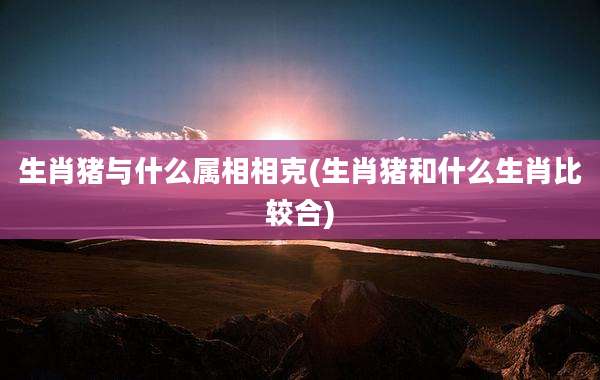 生肖猪与什么属相相克(生肖猪和什么生肖比较合)